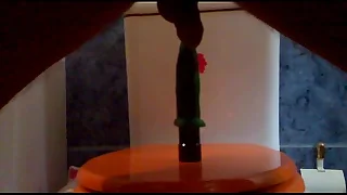 Tuga com vibrador no cú